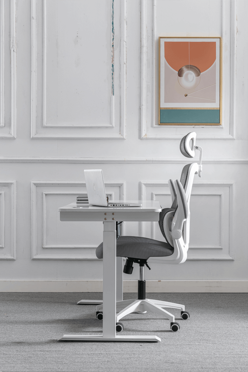 LUMBAR LITE Ergonomic Home Office Chair